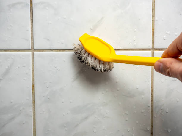 Best Professional Mold Removal  in Eastvale, CA