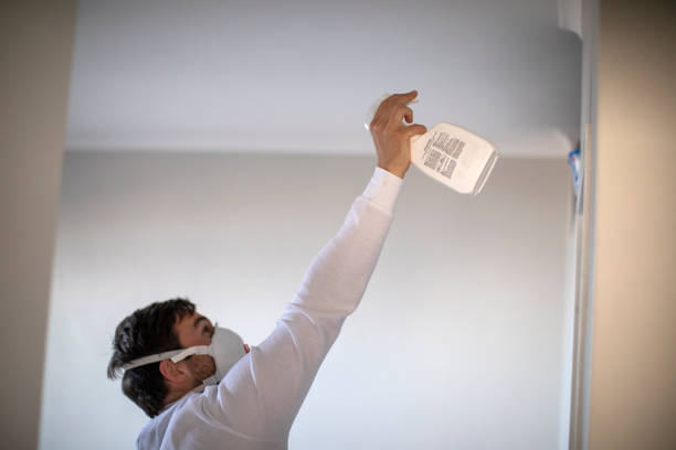 Best Crawl Space Mold Removal  in Eastvale, CA