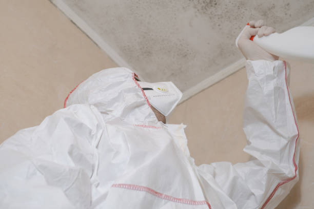 Best Commercial Mold Removal  in Eastvale, CA